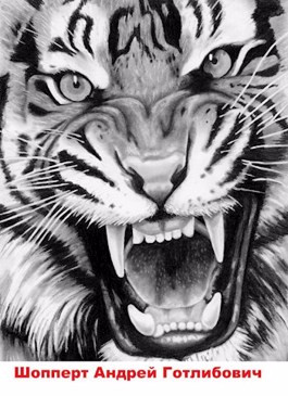 Читать Охота на Тигра. Книга третья. Настоящий полковник
