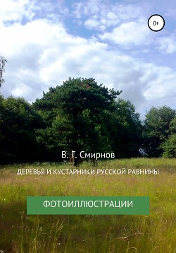 Читать Деревья и кустарники Русской равнины