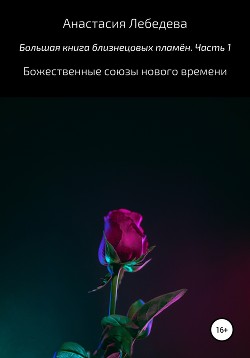 Читать Большая книга близнецовых пламён. Часть 1