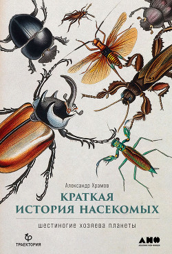 Читать Краткая история насекомых. Шестиногие хозяева планеты