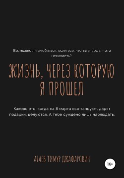 Жизнь, через которую я прошел