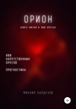 Читать Орион. Книга жизни. Для всех идущих. 888 напутственных опусов. Прогностика