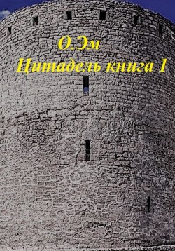 Читать Цитадель. Книга 1