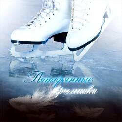 Потерянные крылышки