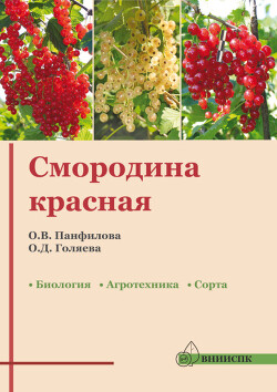Читать Смородина красная: биология, агротехника, сорта (методические рекомендации)