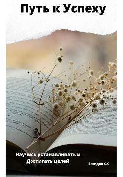 Читать Путь к Успеху