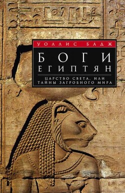 Читать Боги египтян. Царство света, или Тайны загробного мира