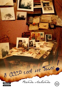 Читать В СССР геев не было!