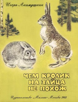 Чем кролик на зайца не похож