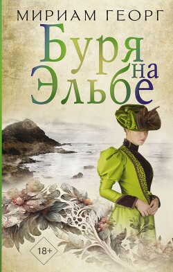 Книга буря fb2