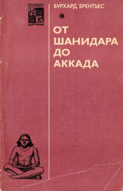 Читать От Шанидара до Аккада