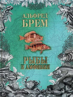 Читать Жизнь животных. Рыбы и амфибии