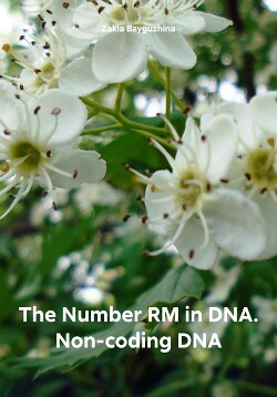 Читать The Number RM in DNA. Non-coding DNA