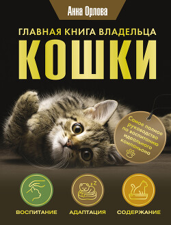 Читать Главная книга владельца кошки