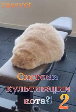 Система культивации кота 2