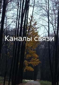 Читать Каналы связи