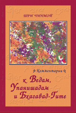 Читать Шри Чинмой. Комментарии к Ведам, Упанишадам и Бхагавад-Гите