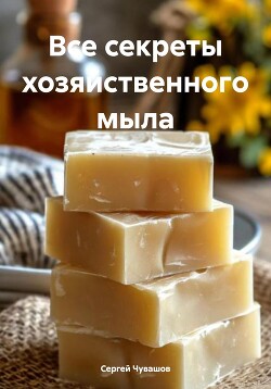 Читать Все секреты хозяйственного мыла