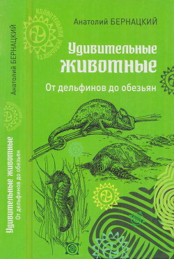 Читать Удивительные животные. От дельфинов до обезьян