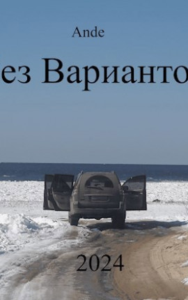 Без Вариантов