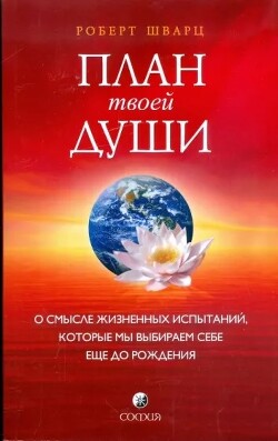 План твоей души. О смысле жизненных испытаний, которые мы выбираем себе еще до рождения