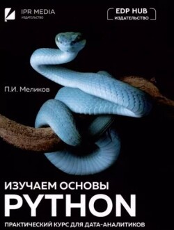 Читать Изучаем основы Python. Практический курс для дата-аналитиков