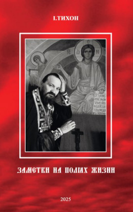 Заметки на полях жизни 