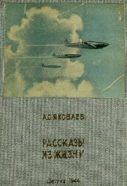 Рассказы из жизни