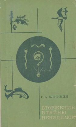 Вторжение в тайны невидимок
