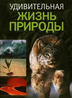 Удивительная жизнь природы
