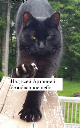 Над всей Артанией безоблачное небо