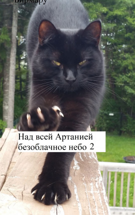 Над всей Артанией безоблачное небо-2