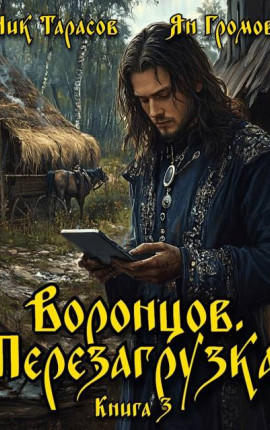 Воронцов. Перезагрузка. Книга 3