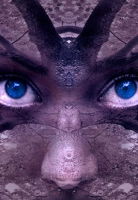 Читать Подаяние