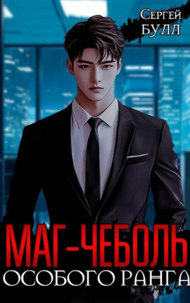 Маг-чеболь особого ранга