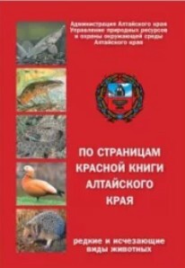 По страницам Красной книги Алтайского края