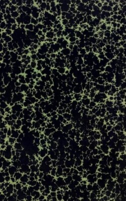 Борьба Польши и Литвы-Руси за Галицко-Владимирское наследие