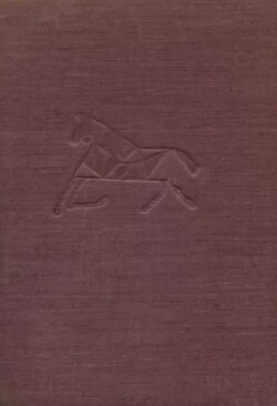 Читать Вятские записки