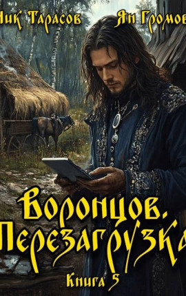 Воронцов. Перезагрузка. Книга 5