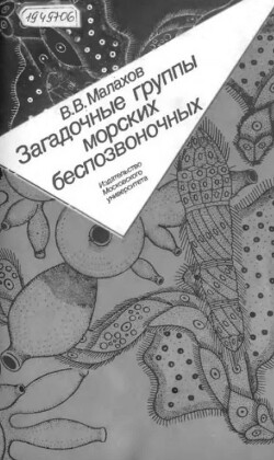 Загадочные группы морских беспозвоночных. Трихоплакс, ортонектиды, дициемиды