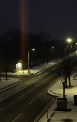 Монстр за моим окном