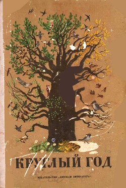 Круглый год