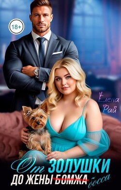 От Золушки до жены (бомжа) босса