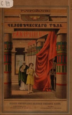 Строение человеческого тела