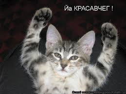 Красавчег первый