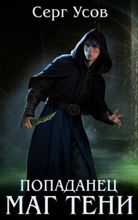 Попаданец. Маг Тени. Книга 12