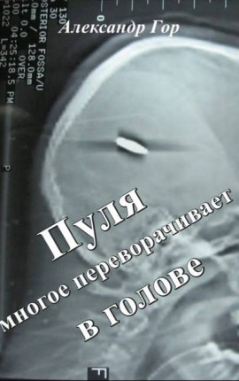 Пуля многое переворачивает в голове