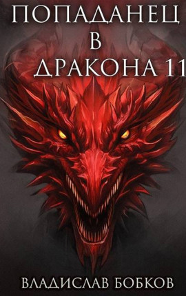 Попаданец в Дракона – 11