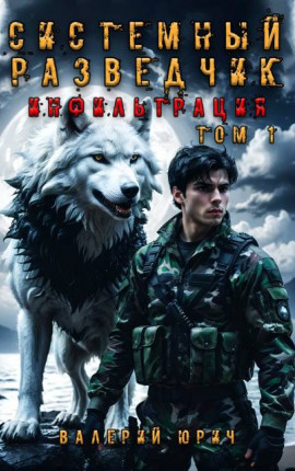 Системный разведчик. Инфильтрация. Том 1