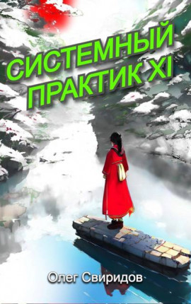 Системный практик XI